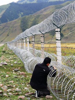 Barbed Wire Mesh For Security