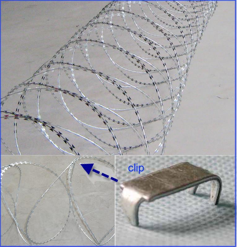 Concertina Razor Wire “Stand Arm in Arm” with Clips Hebei Zhengyang