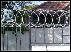The Introduction of Flat Wrapped Razor Wire