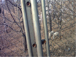 Chain Link Fence